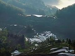 -紫鹊界梯田景区