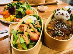 -猫小院猫主题餐厅(三里屯店)