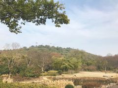 -东湖磨山景区