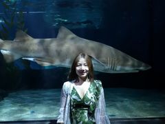 -暹罗海洋世界