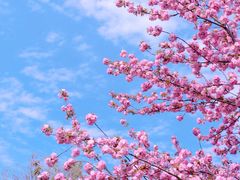 -白塘生态植物园