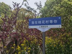 -南汇桃花村