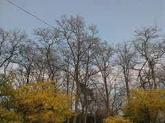 -辽宁大学(崇山校区)