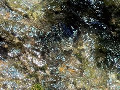 -水磨沟公园