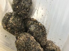 -叶氏麻糍(鼓浪屿店)