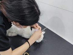 -1013 PET SHOP 宠物商店(近铁城市广场店)
