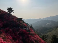 -木兰云雾山