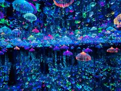 -天津梵高星空艺术馆(天河城旗舰店)