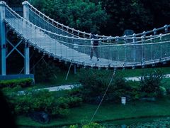 -东莞植物园