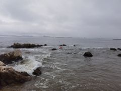 -养马岛旅游度假区