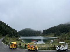 -武陵山森林公园