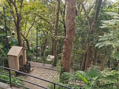 -上海佘山国家森林公园西佘山园