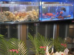 -南海渔村(珠江新城店)