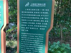 -上海滨江森林公园