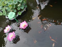 -豫园湖心亭茶楼