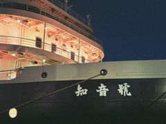 -武汉知音号