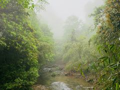 -龙苍沟森林公园
