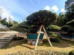 -水绘园