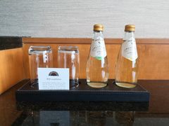 -新加坡文华东方酒店