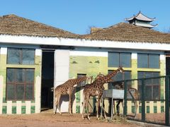 -秦皇岛野生动物园
