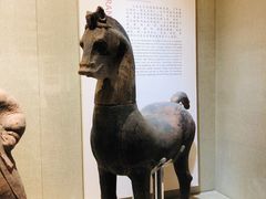 -乐山市博物馆