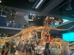 -墨尔本博物馆(Melbourne Museum)