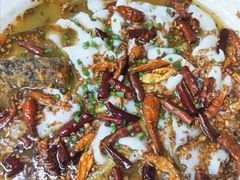 -九毛九西北菜(大东海店)