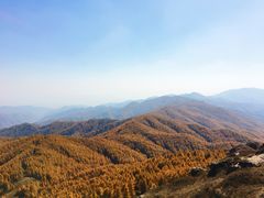 -苏木山森林公园