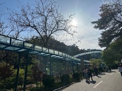 -大芦花风景区