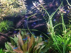 -上海海洋水族馆