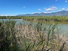 -野鸭湖国家湿地公园