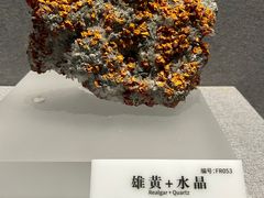 -贵州省地质博物馆