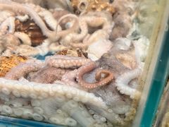 -渡海小渔村.老辈日照菜