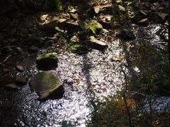 -天目湖御水温泉·度假酒店