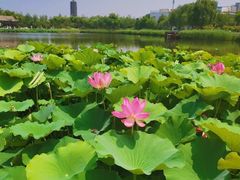 -西海子公园