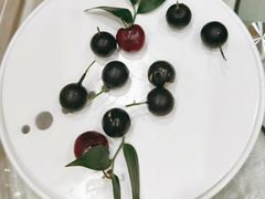 -食神鱼头佛跳墙(百子湾旗舰店)