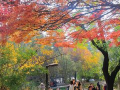 -西安市纺织公园