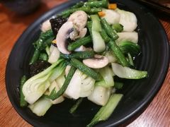 -石锅先生