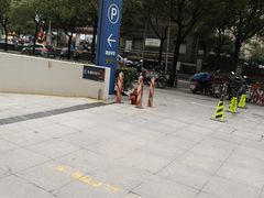 -上海喜玛拉雅酒店-停车场