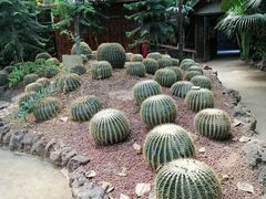 -呀路古热带植物园