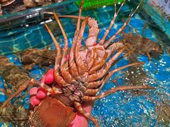 -阿里元海鲜·闽南特色菜(曾厝垵店)