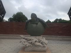 -广东惠东海龟国家级自然保护区