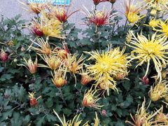 -廊坊文化艺术中心