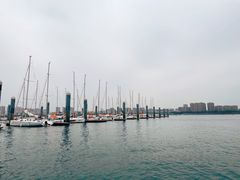 -五缘湾游艇帆船俱乐部