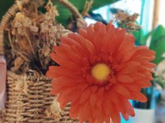 -秀儿家の小确幸花园西餐厅