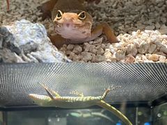 -太平洋海底世界