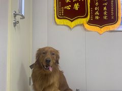 -瑞鹏宠物医院·眼科·皮肤·中兽医(大悦城分院)
