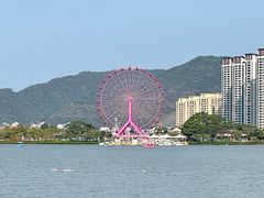 -鼎香皇高佬苏裹蒸粽