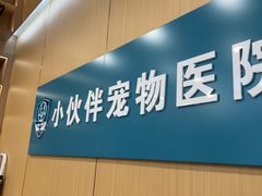 -小伙伴宠物医院•急重症转诊中心·老年专科·犬猫全科(北大街总院)