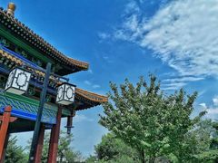 -阅江楼风景区